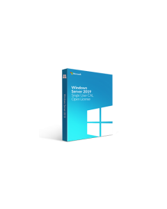 Microsoft Windows Server 2019 Single User CAL Open License
