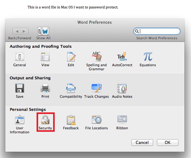How To Encrypt Word Documents on Mac