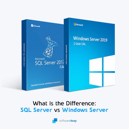 What is the Difference Between SQL Server and Windows Server?