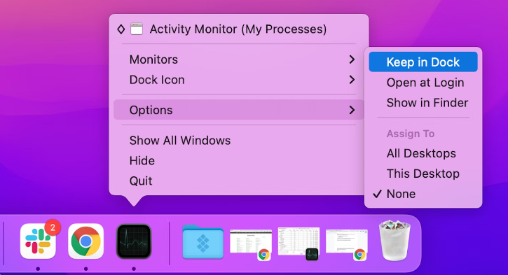 Activity Monitor icon in your Dock