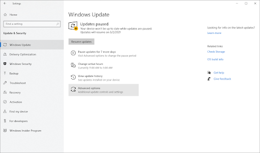 Windows update > advanced