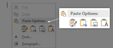 Paste options in word