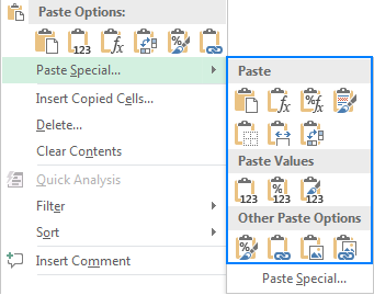 Paste Spacila in Excel